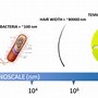 Công Nghệ Nano Trong Y Sinh Học