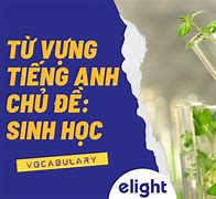 Hóa Sinh Trong Tiếng Anh Là Gì