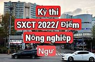 Kỳ Thi Xklđ Hàn Quốc 2022 Là Gì Tốt Không Vì Sao