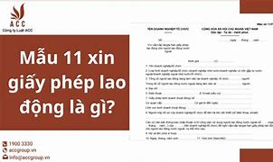 Nghị Định 11 Về Lao Động Nước Ngoài