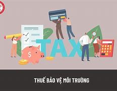 Thuế Bảo Vệ Môi Trường Tiếng Trung Là Gì